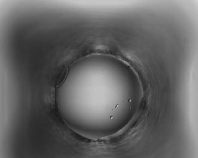 X0000088741301200706071652