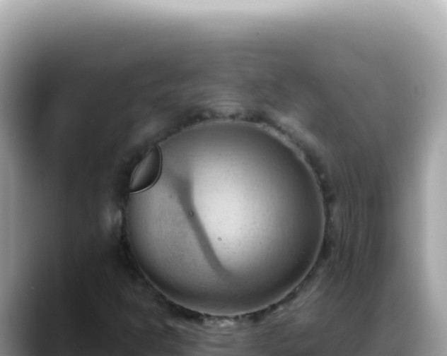 X0000088741302200706071652