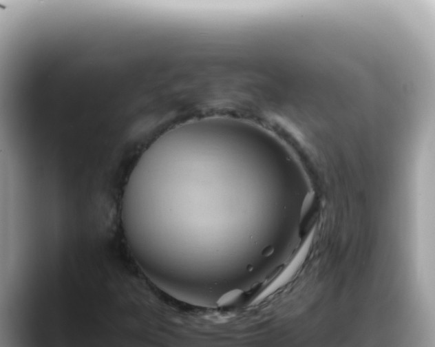 X0000088741303200706071652