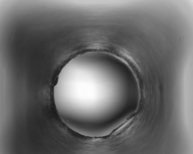 X0000088741304200706071652
