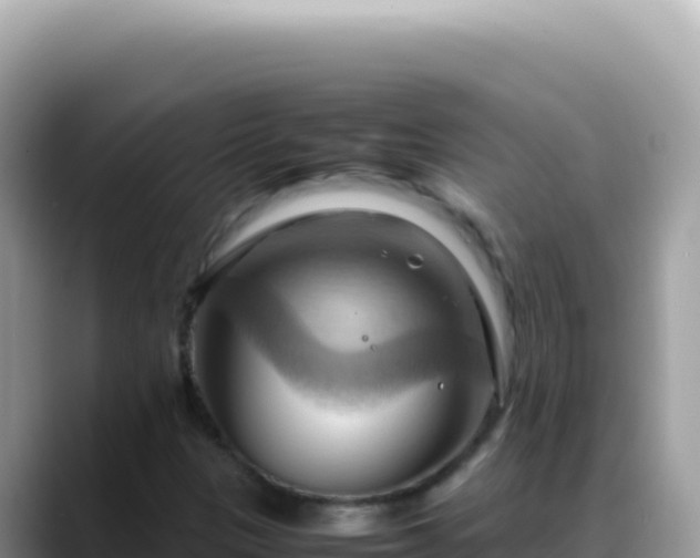 X0000088741305200706071652
