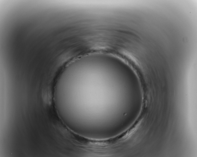 X0000088741306200706071652