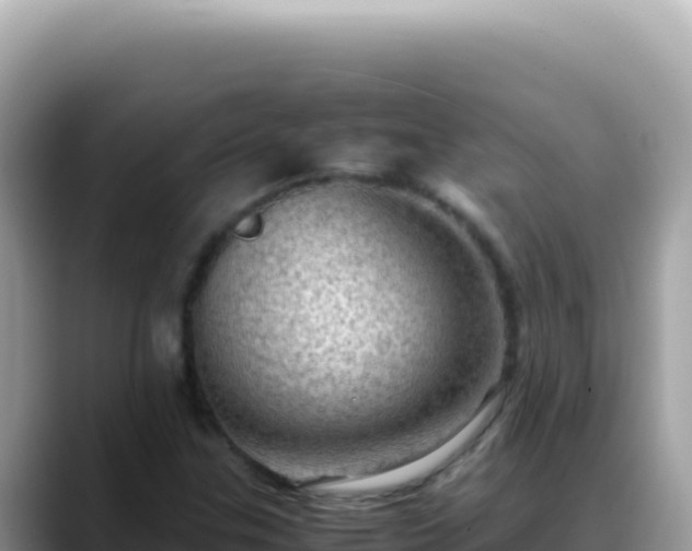 X0000088741307200706071652