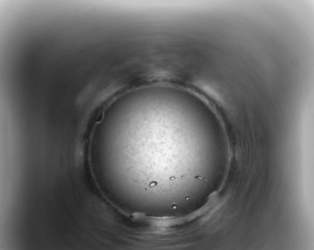 X0000088741309200706071652