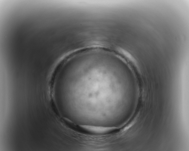 X0000088741310200706071652