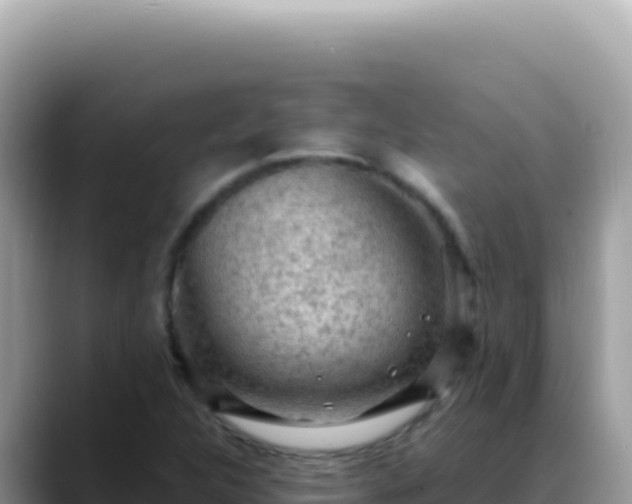 X0000088741312200706071652