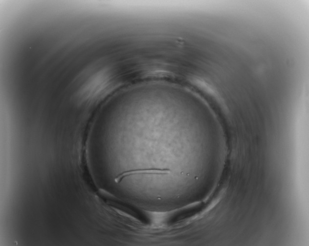 X0000088741313200706071652