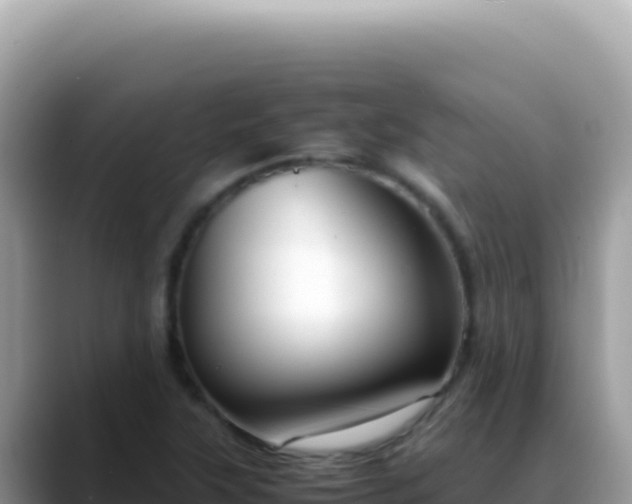 X0000088741315200706071652