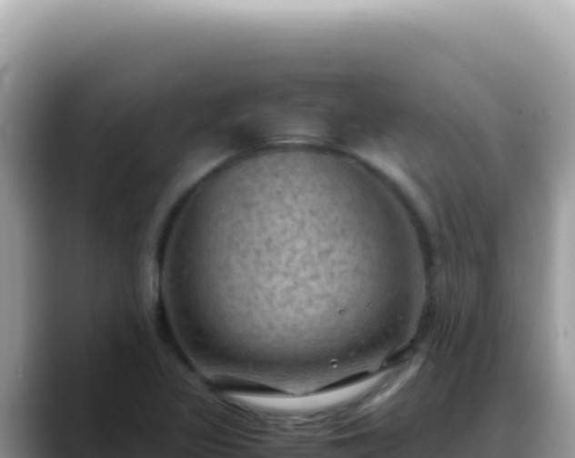 X0000088741317200706071652