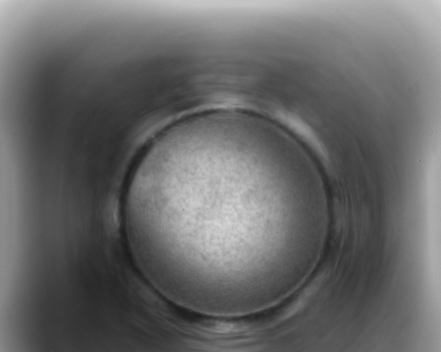 X0000088741318200706071652