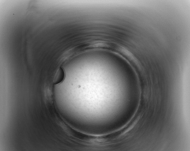 X0000088741321200706071652
