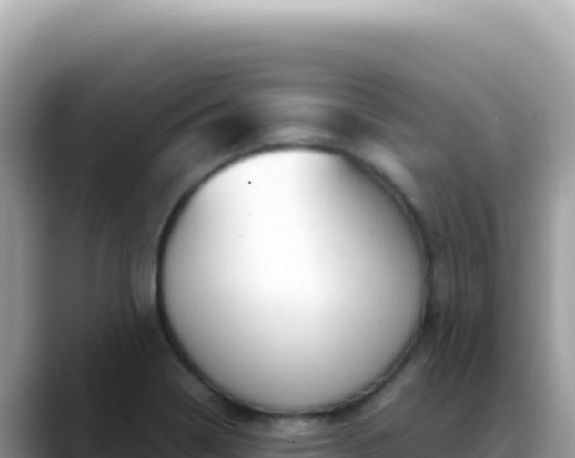 X0000088741322200706071652