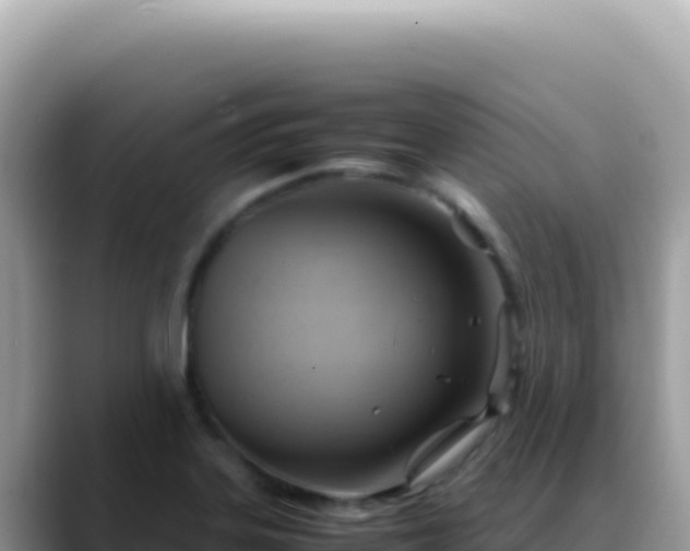 X0000088741323200706071652