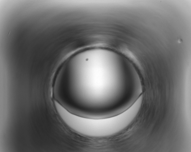 X0000088741324200706071652