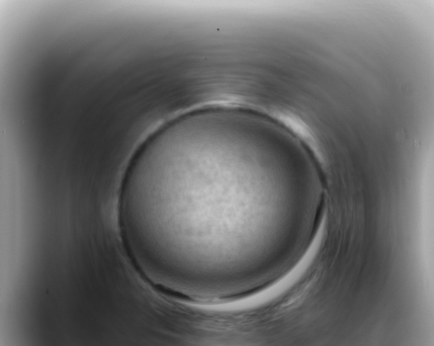 X0000088741326200706071652