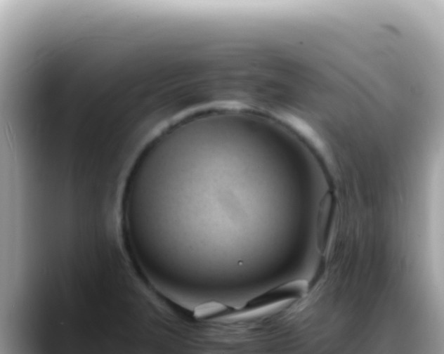 X0000088741327200706071652