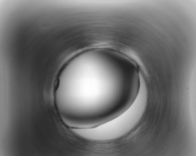 X0000088741328200706071652