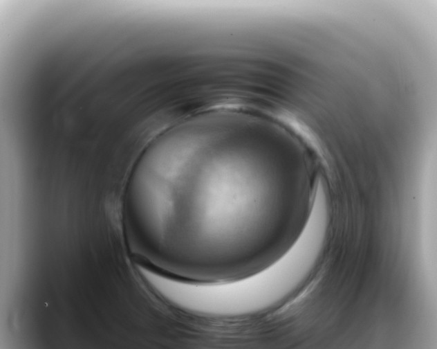 X0000088741329200706071652