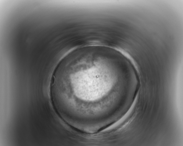 X0000088741333200706071652