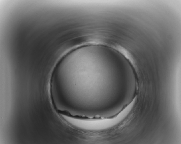 X0000088741334200706071652