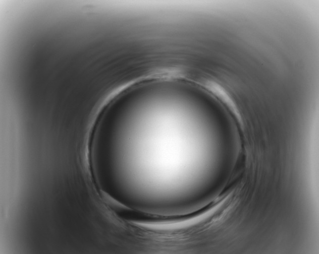 X0000088741336200706071652