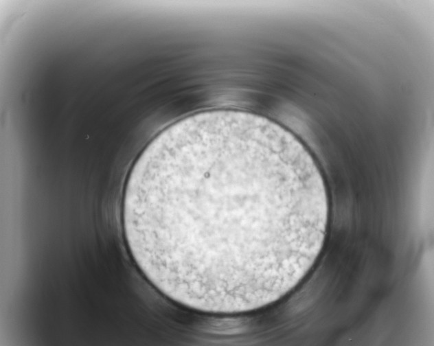 X0000088741338200706071652