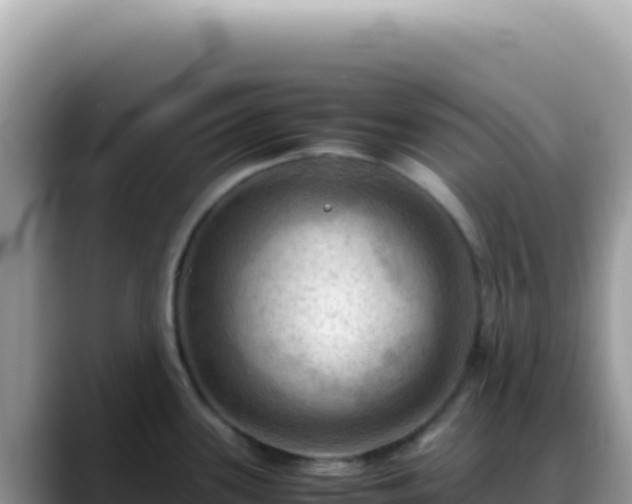 X0000088741339200706071652