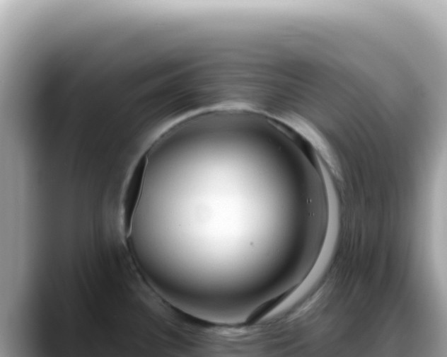 X0000088741340200706071652
