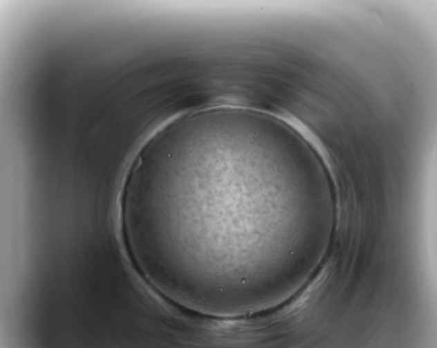 X0000088741341200706071652