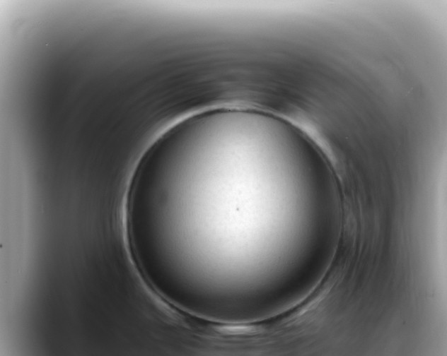 X0000088741343200706071652