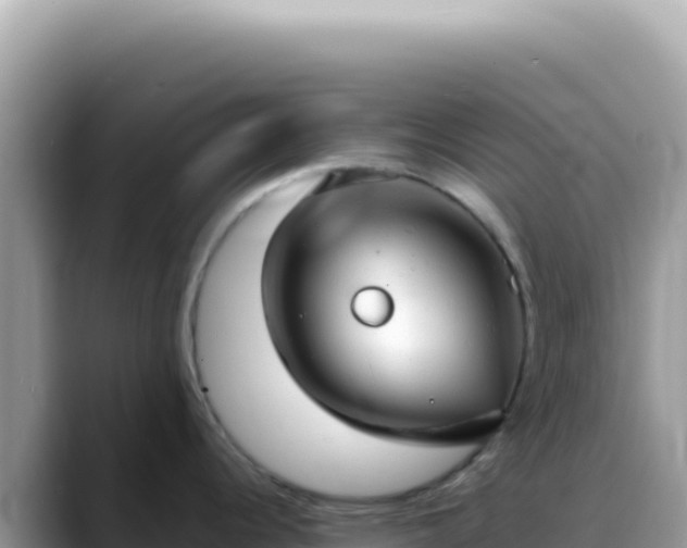 X0000088741344200706071652