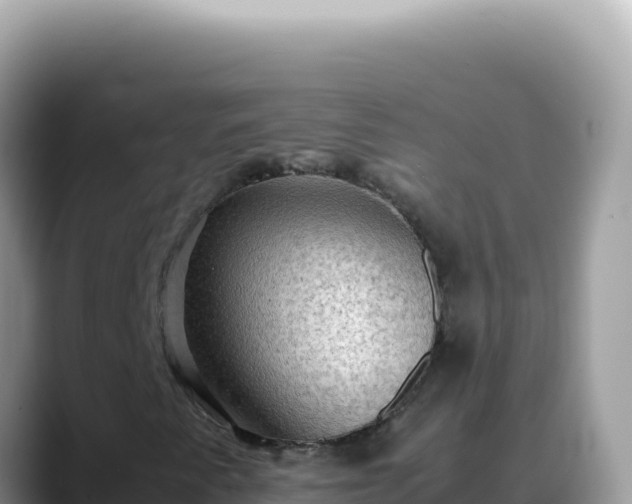 X0000088741345200706071652