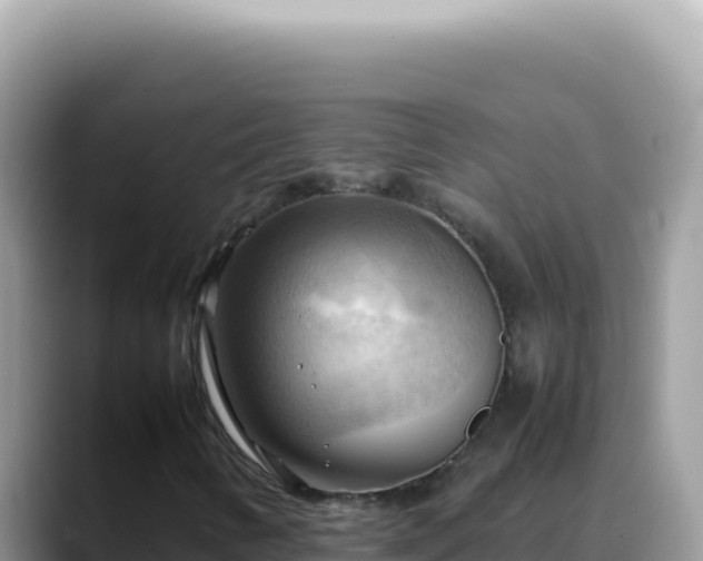 X0000088741346200706071652