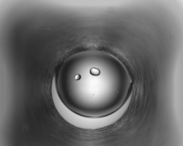 X0000088741348200706071651