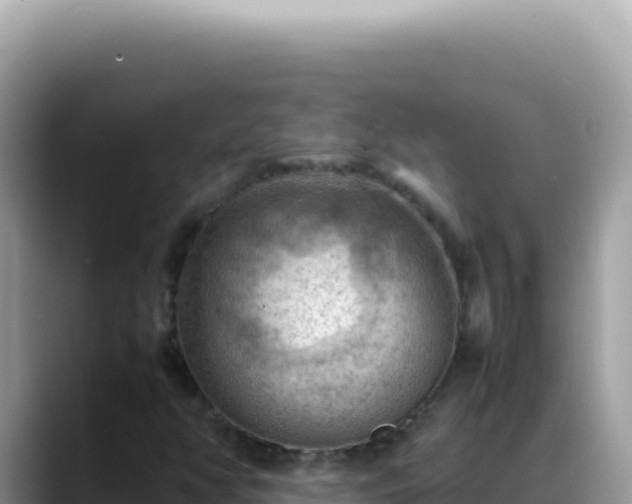 X0000088741350200706071651