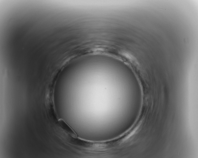 X0000088741353200706071651