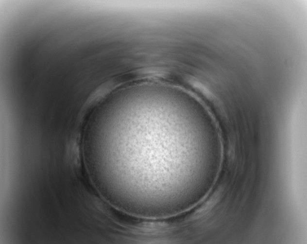 X0000088741354200706071651