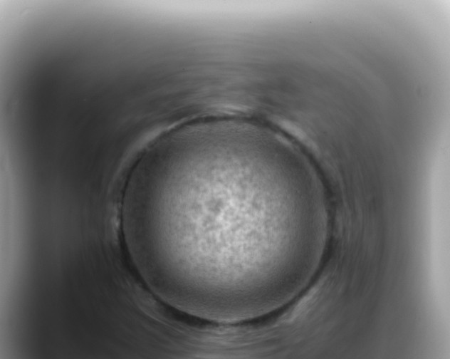 X0000088741355200706071651