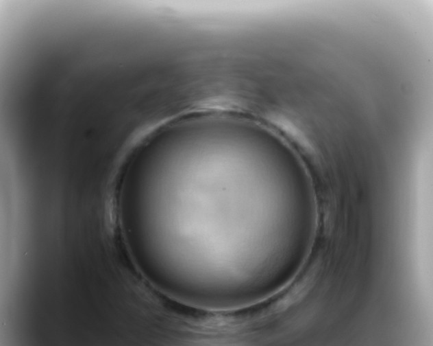 X0000088741358200706071651