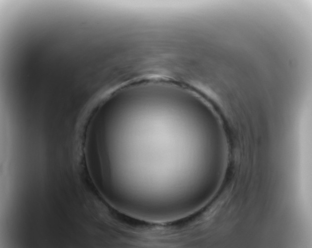 X0000088741359200706071651