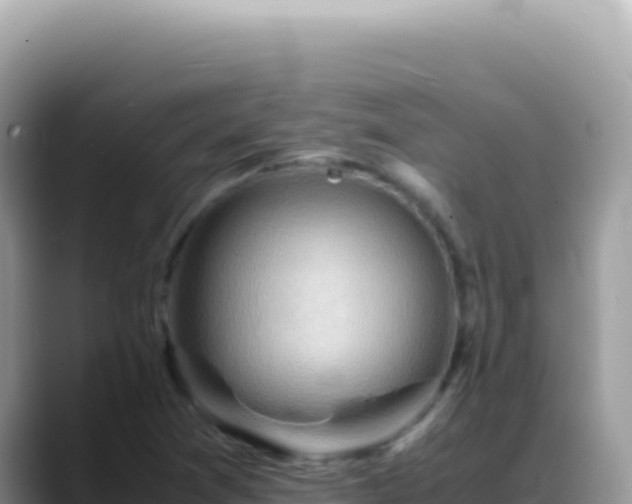 X0000088741361200706071651