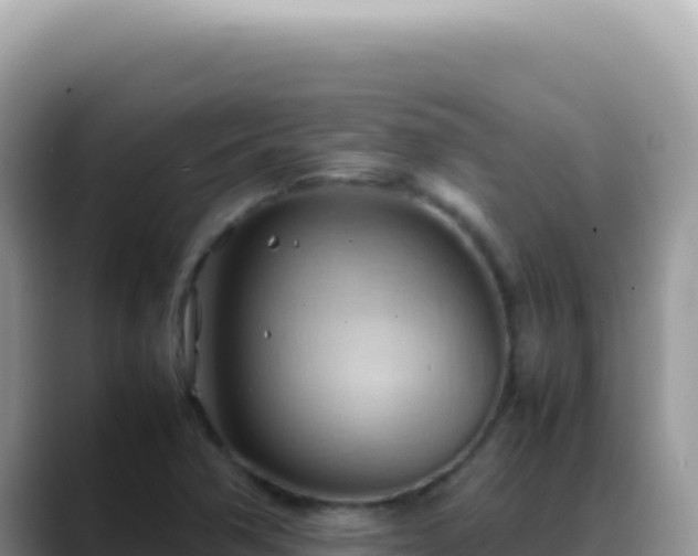 X0000088741362200706071651