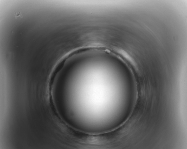 X0000088741364200706071651