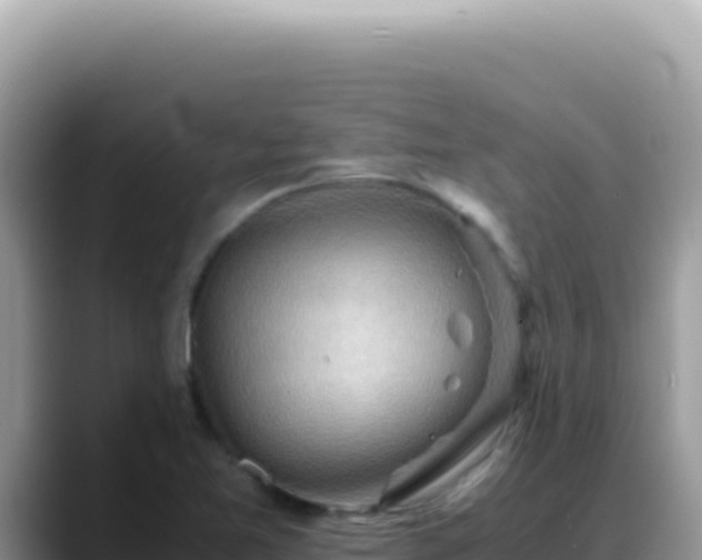 X0000088741365200706071651