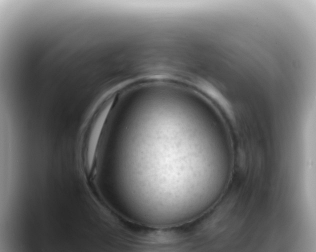X0000088741368200706071651