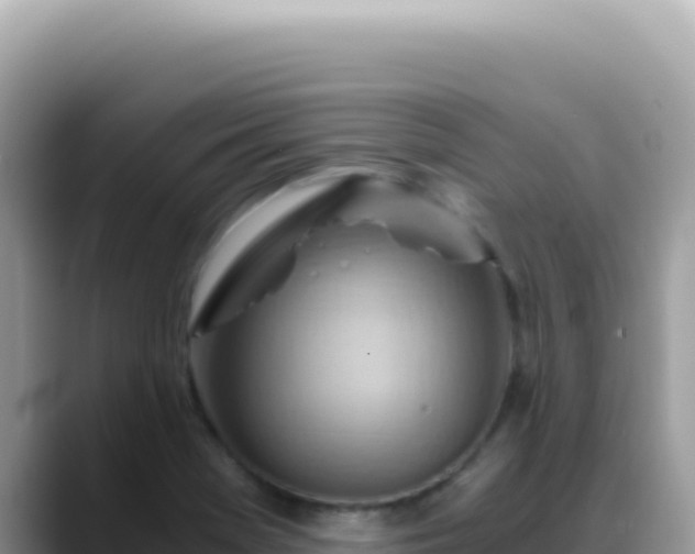 X0000088741369200706071651