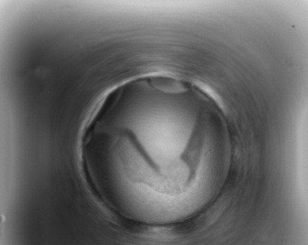 X0000088741375200706071651