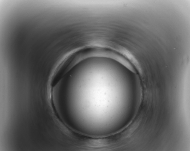 X0000088741376200706071651