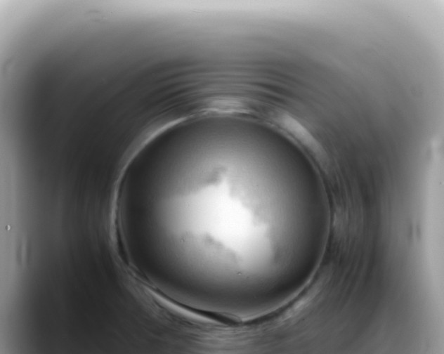 X0000088741378200706071651
