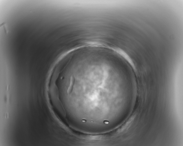 X0000088741381200706071651